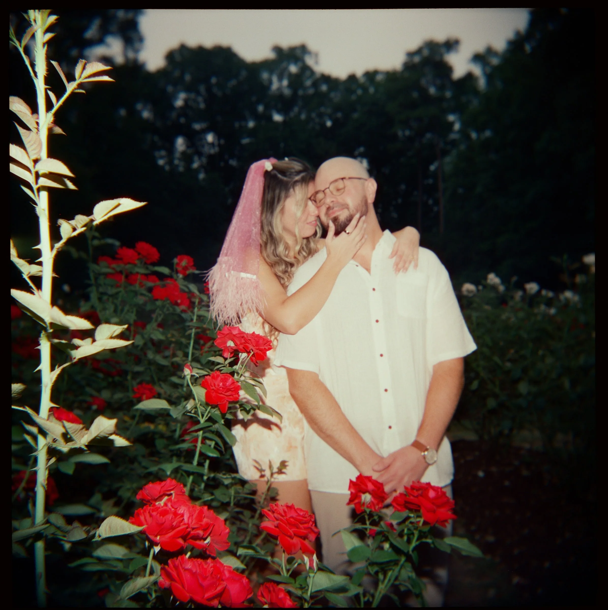Nicole and Ian at dusk among red roses