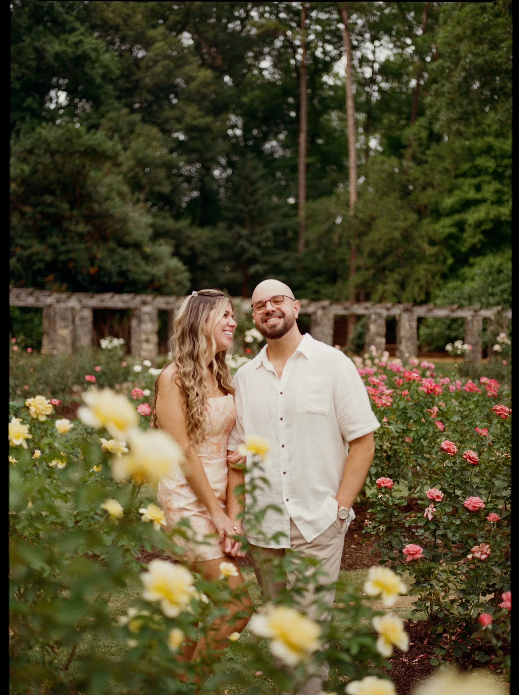 Nicole and Ian standing hand in hand among yellow roses in the rose garden
